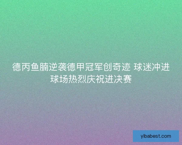 德丙鱼腩逆袭德甲冠军创奇迹 球迷冲进球场热烈庆祝进决赛
