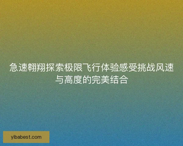 急速翱翔探索极限飞行体验感受挑战风速与高度的完美结合