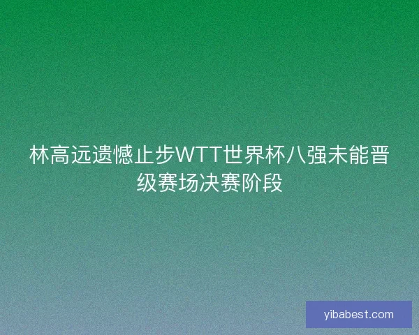 林高远遗憾止步WTT世界杯八强未能晋级赛场决赛阶段